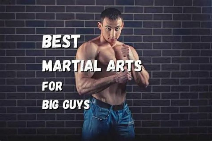 What is the best martial art for big guys?