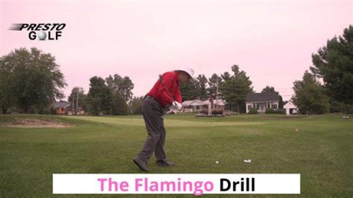 What is the Flamingo drill in golf?
