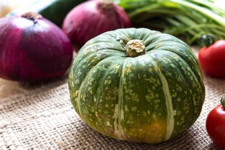 What is the green squash?