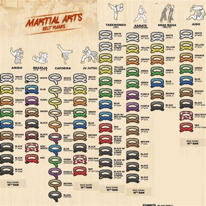 What is the highest level of martial arts?