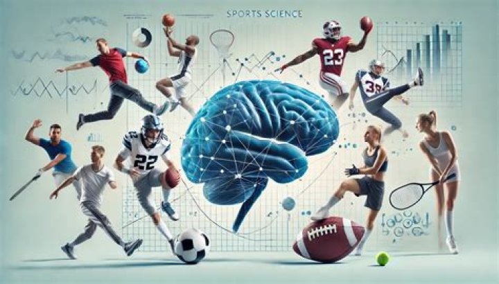 What is the most physical sport?