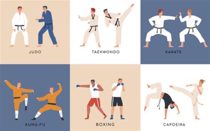 What is the number 1 martial arts in the world?