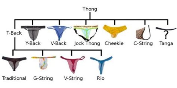 What is the sumo thong called?