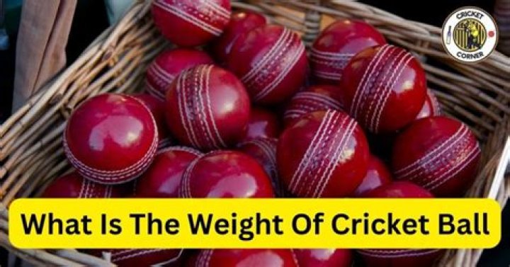 What is the weight of cricket ball?