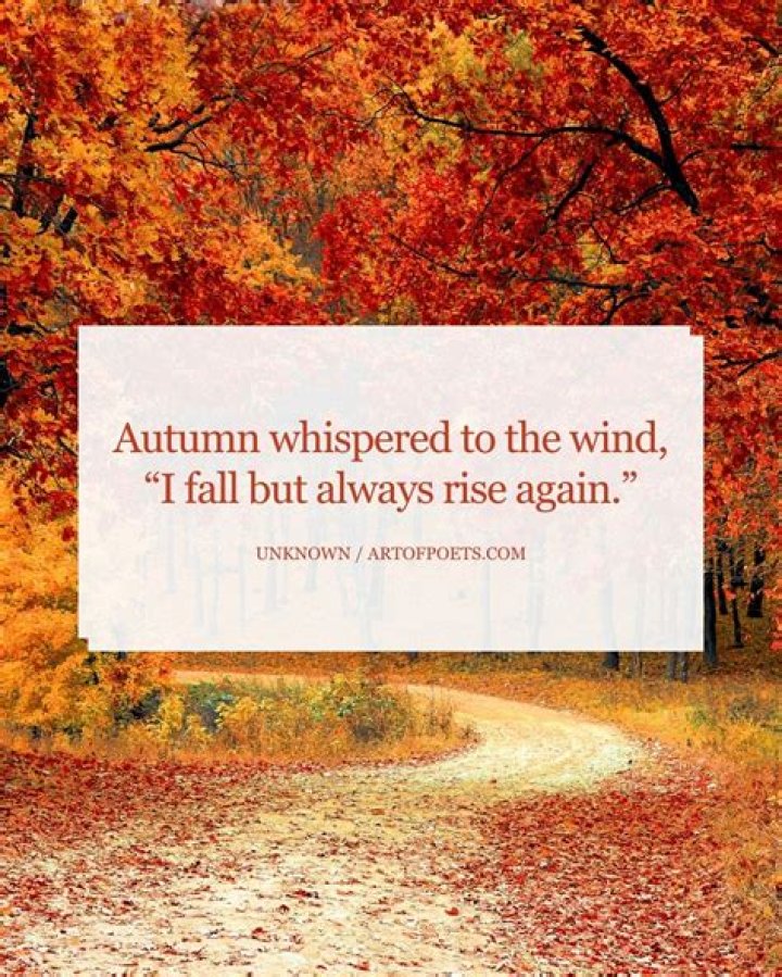 What is won by fall?