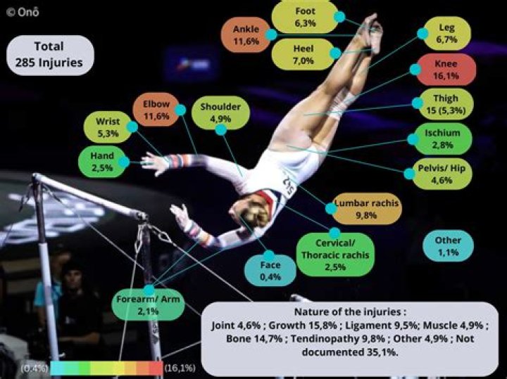 What level gymnastics is an aerial?