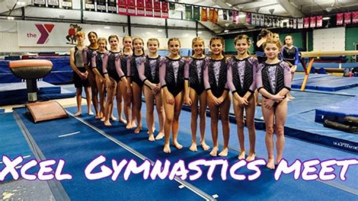 What level in gymnastics is Xcel silver?