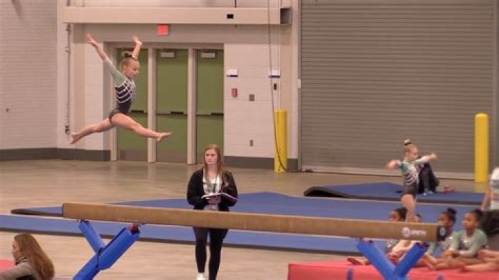 What level is a whip in gymnastics?