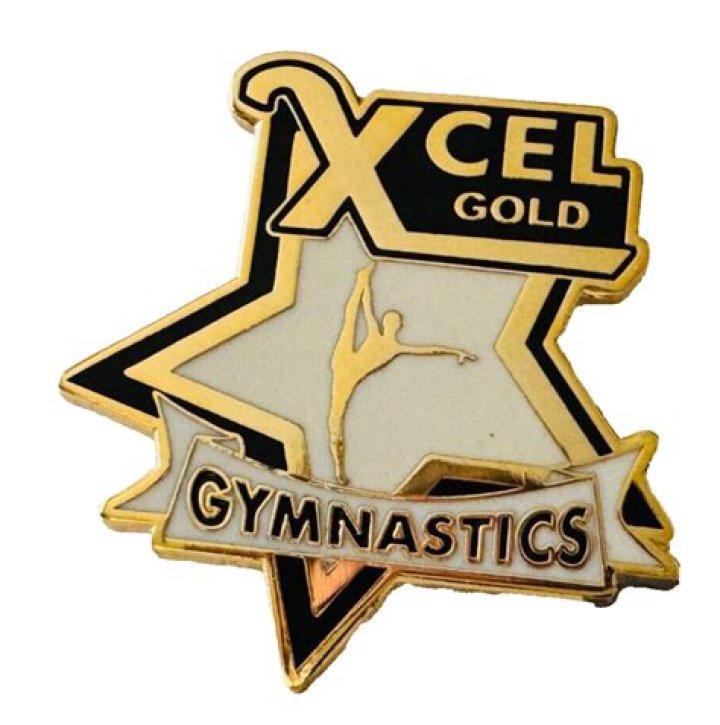 What level is Xcel Gold gymnastics?