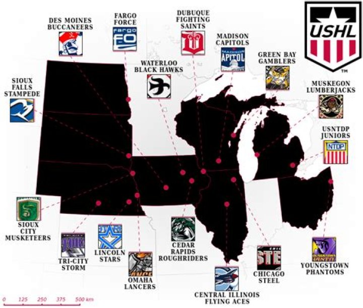 What level of hockey is the USHL?