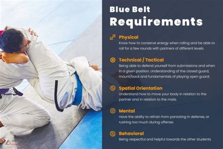 What makes a BJJ blue belt?