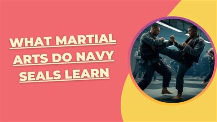 What martial art do Navy SEALs use?