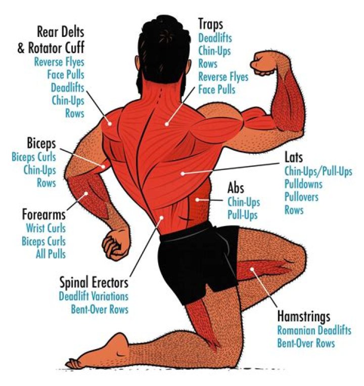 What muscles are used in BJJ?