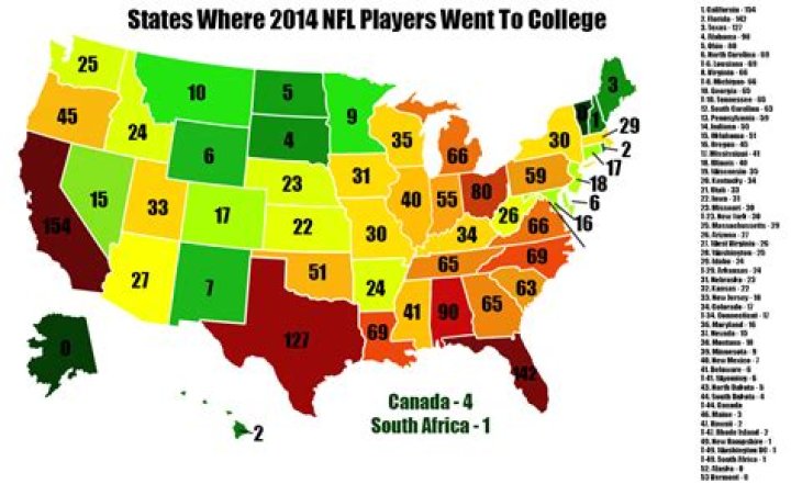 What percentage of NFL players went to college?