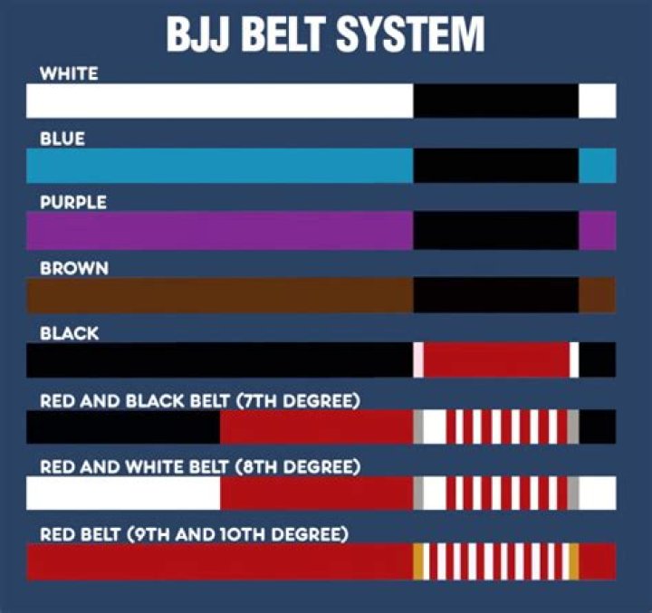 What percentage of people get a purple belt in BJJ?