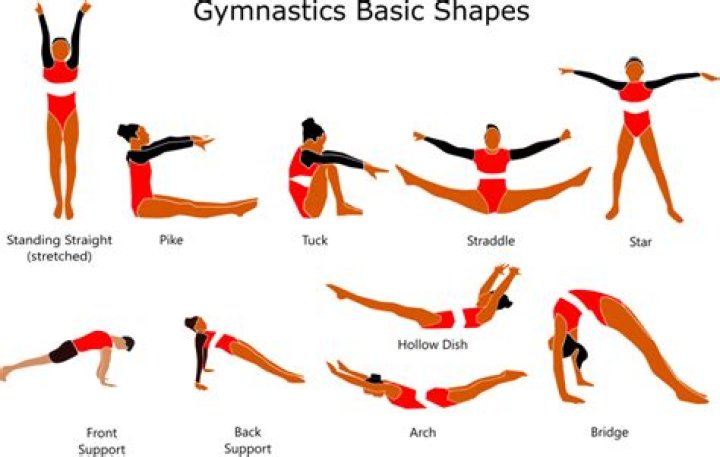 What skills do you need for Level 7 gymnastics?