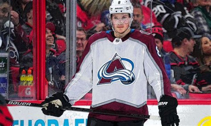 What sticks do NHL defenseman use?