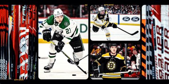 What sticks do NHL players use?