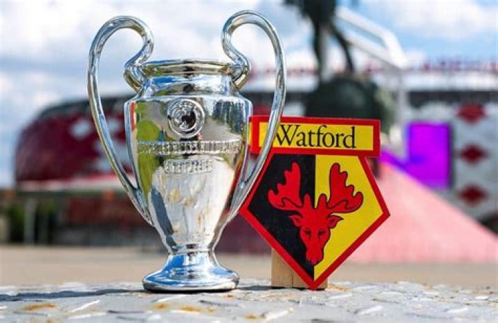 What trophies have Watford won?