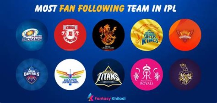 Which IPL team has 2nd most fans?