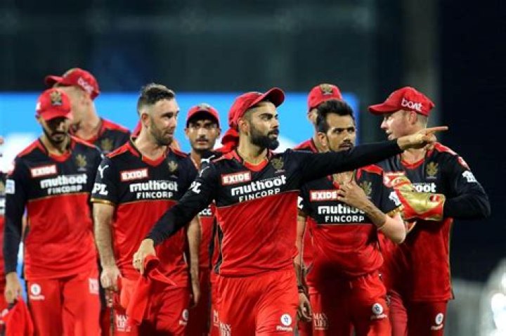 Which IPL team has most fans in 2021?