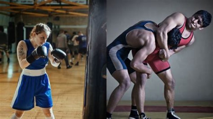 Which is better boxing or wrestling?