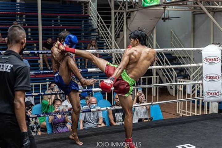 Which is harder to learn boxing or Muay Thai?