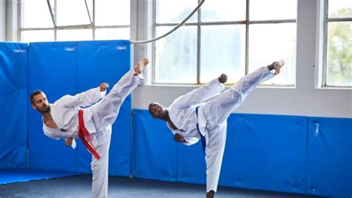 Which is harder to learn karate or Taekwondo?