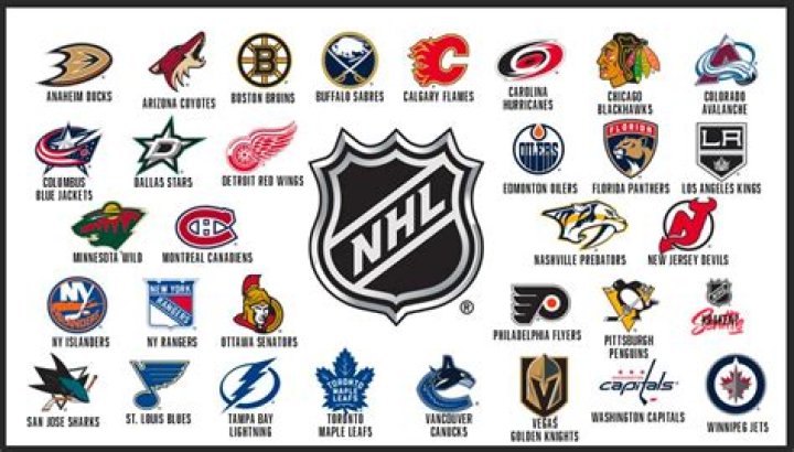 Which NHL team has coolest logo?