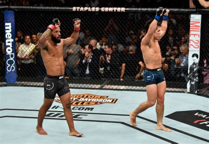 Who's the shortest UFC fighter?