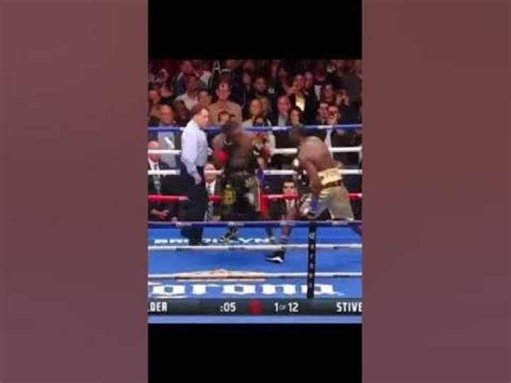 Who hits harder Wilder or Tyson?