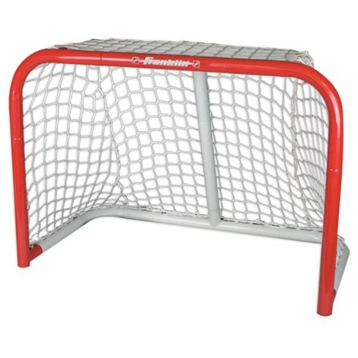Who invented hockey nets?