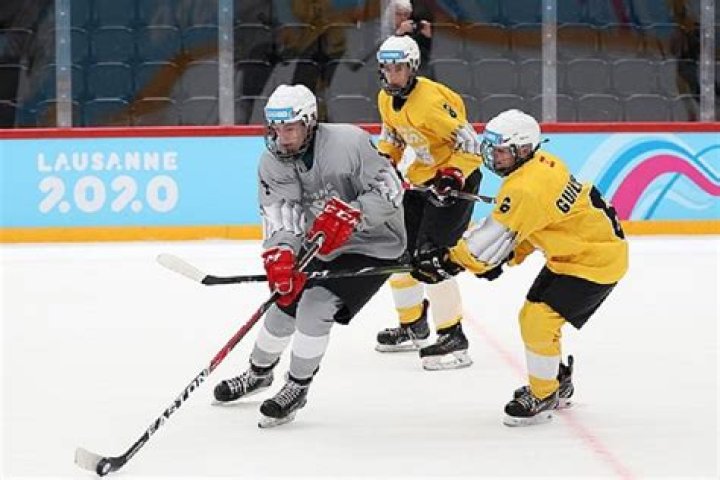 Who invented hockey puck?