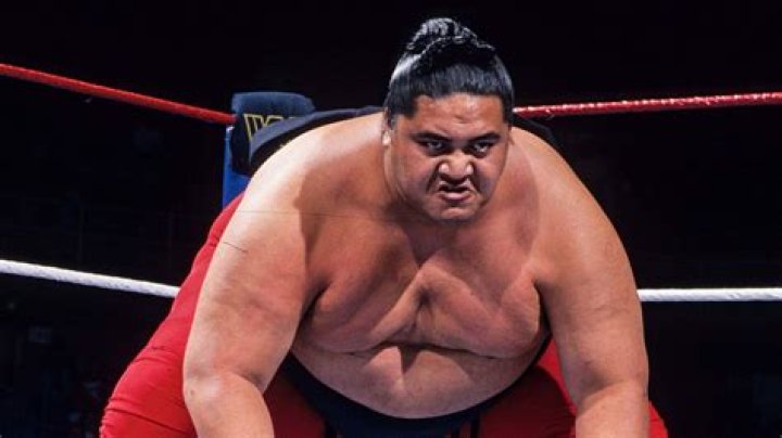 Who is the current yokozuna?
