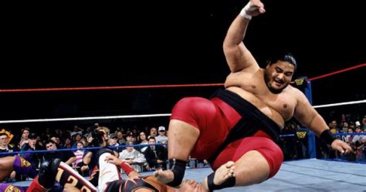 Who is the heaviest wrestler in WWE?