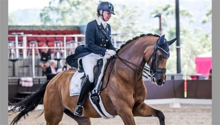 Who is the oldest athlete at the Winter Olympics?