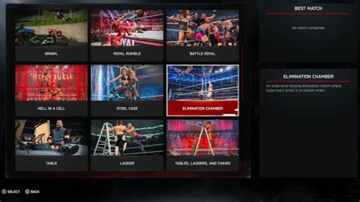 Who lost less matches in WWE?