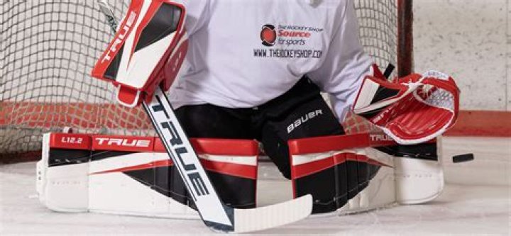 Who was the last stand up goalie?