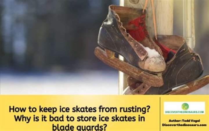 Why are my skates rusting?