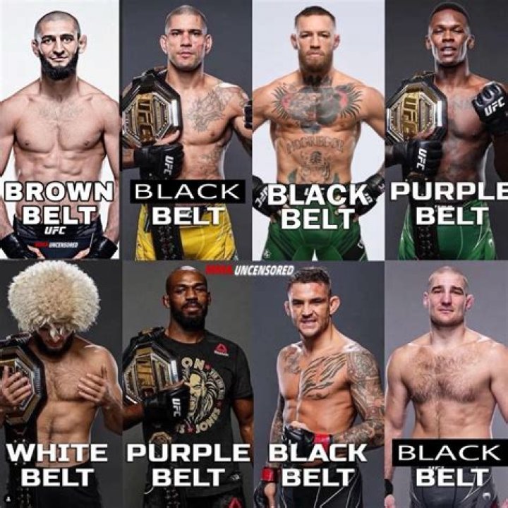 Why are some UFC belts different?