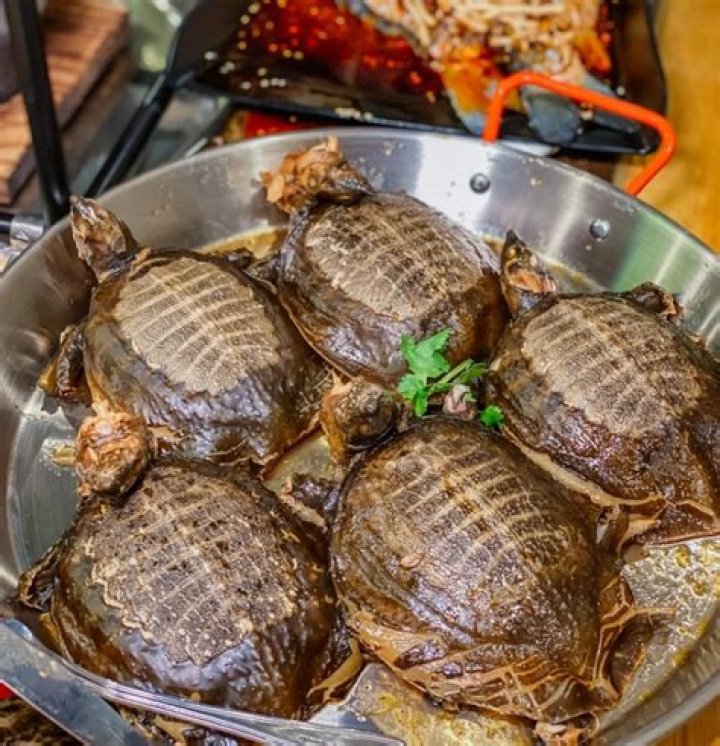 Why do Chinese fly in their movies?