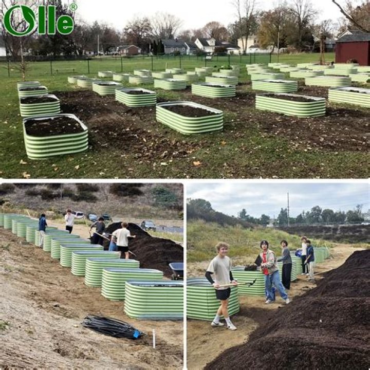 Why is end of day called stumps?