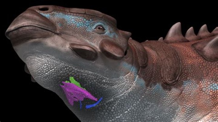 Why is it called a go home show?