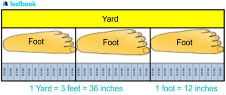 Why is there 3 feet in a yard?