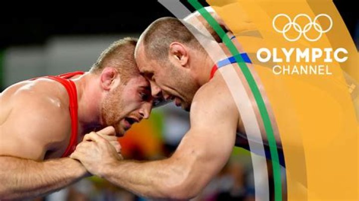 Why is wrestling the best sport?